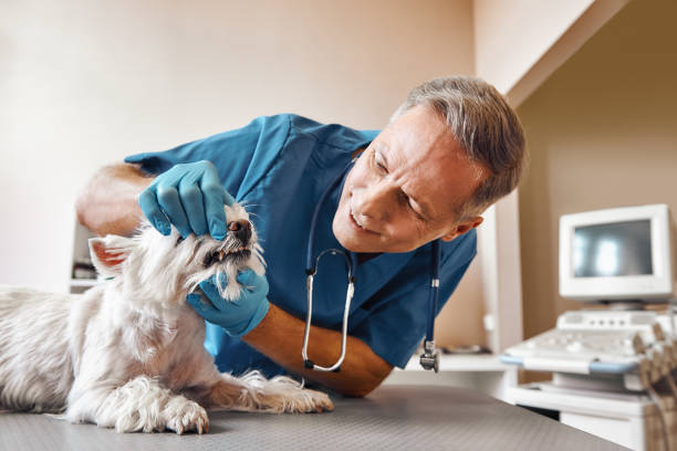 Best Dentist for Tooth Abscess  in La Center, WA
